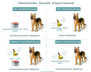 Pawlowsche Hund - HOME4SOULS - Privatpraxis für heilkundliche Psychotherapie und Hypnosetherapie in Ottobrunn, München und Umgebung